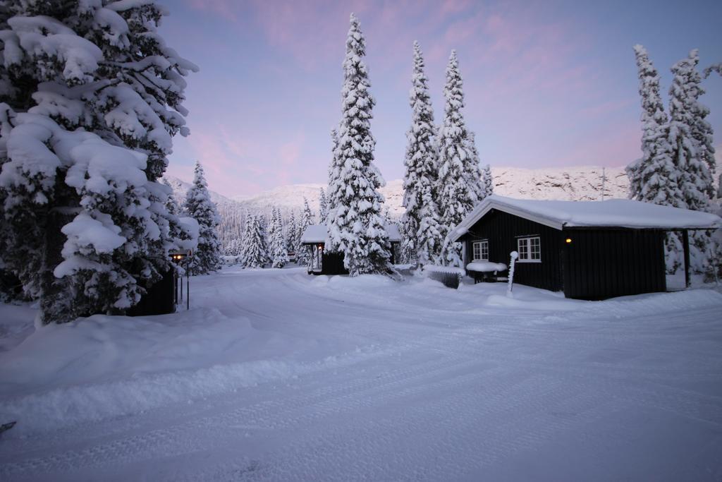 Ferienwohnung Haglebu Feriesenter Eggedal Exterior foto